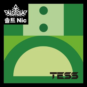 (솔트) TESS SALT 테스 솔트 팟 [ 아이스 알로에 ]