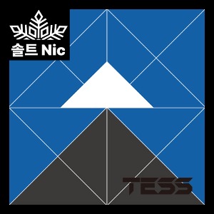 (솔트) TESS SALT 테스 솔트 팟 [ 파워 멘솔 ]