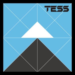 (합성) TESS POD [ 프로즌민트Ⅱ ] 1팩 (2개)