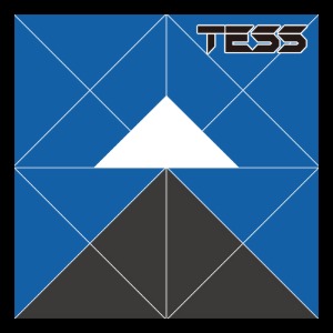 (합성) TESS POD [ 파워 멘솔 ] 1팩 (2개)
